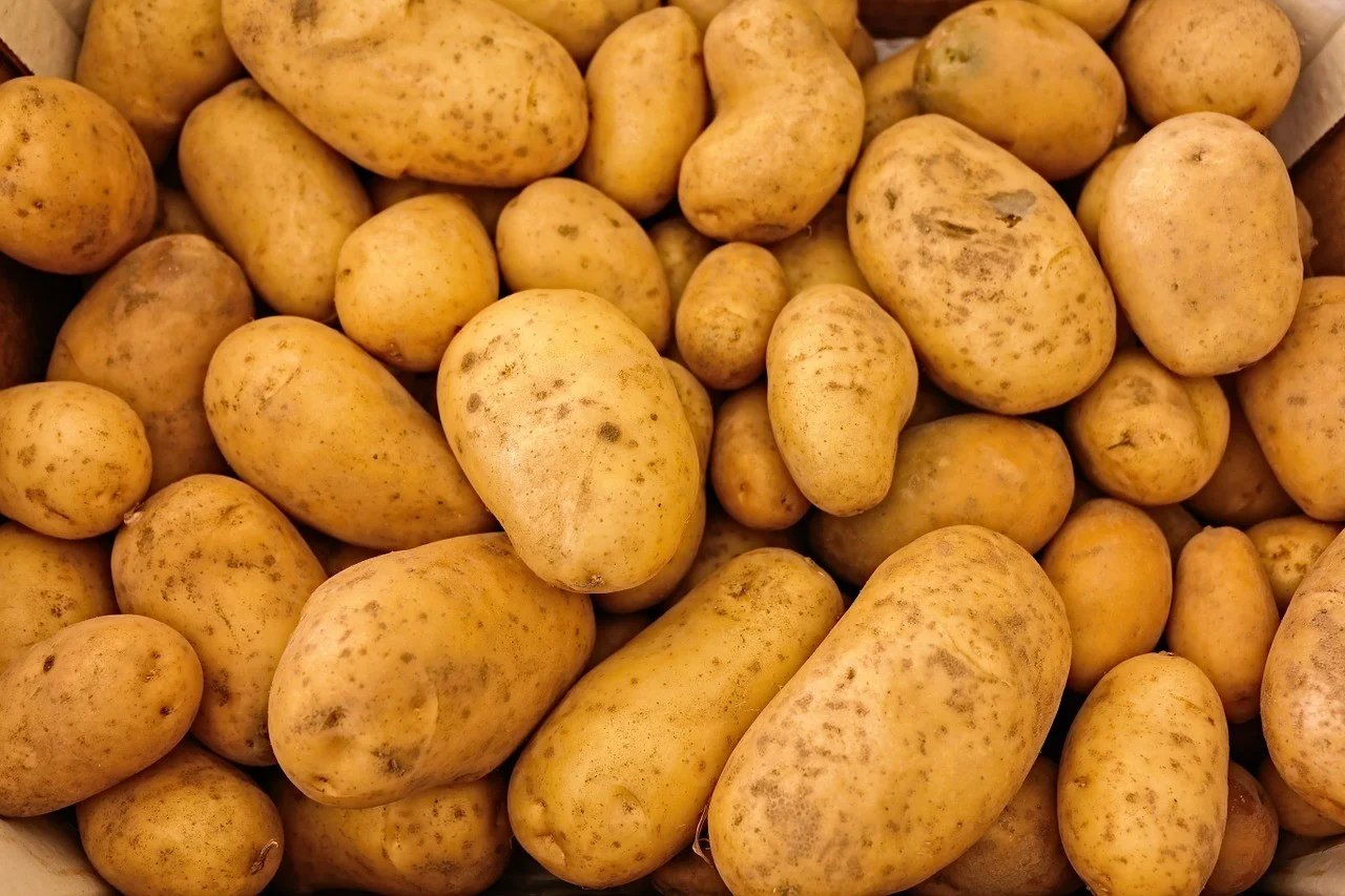 Potato Production and Performance in Jakarta